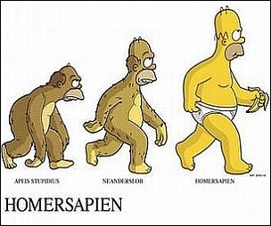 Homer-Sapiens-fun-Simpsons_large.jpg.jpeg